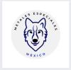 Foto de Metales Especiales M�xico